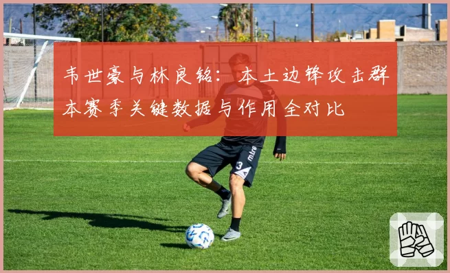 韦世豪与林良铭：本土边锋攻击群本赛季关键数据与作用全对比